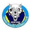Warri Wolves FC