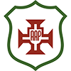 Portuguesa Santista SP Youth