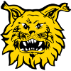 Ilves Tampere Nữ
