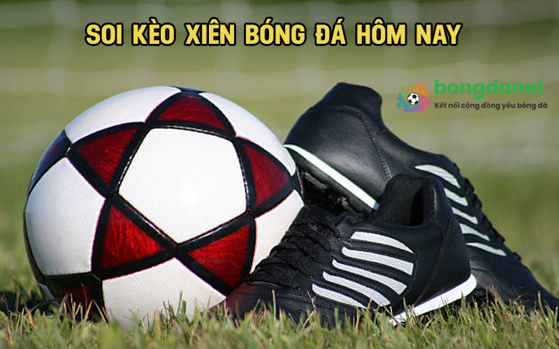 Soi kèo xiên - Ảnh 2