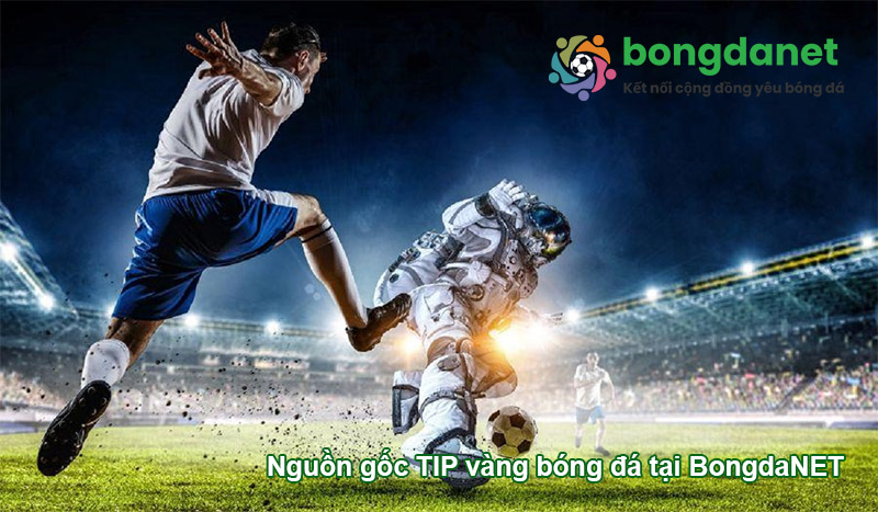 Nguồn gốc tip b&oacute;ng đ&aacute; tại TheThao888