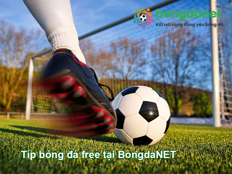 Tip b&oacute;ng đ&aacute; miễn ph&iacute; tại TheThao888