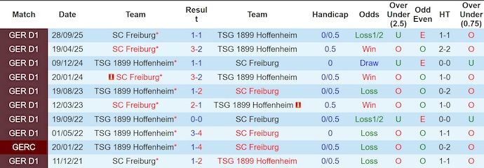Nhận định, soi kèo Hoffenheim vs Freiburg, 21h30 ngày 14/2: Giữ chắc Top 4 - Ảnh 3