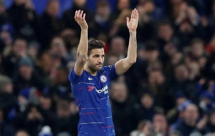 Chelsea cân nhắc đưa Cesc Fabregas về làm HLV