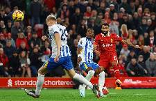 Soi kèo góc Liverpool vs Brighton, 21h00 ngày 25/10