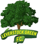 Logo Leverstock Green